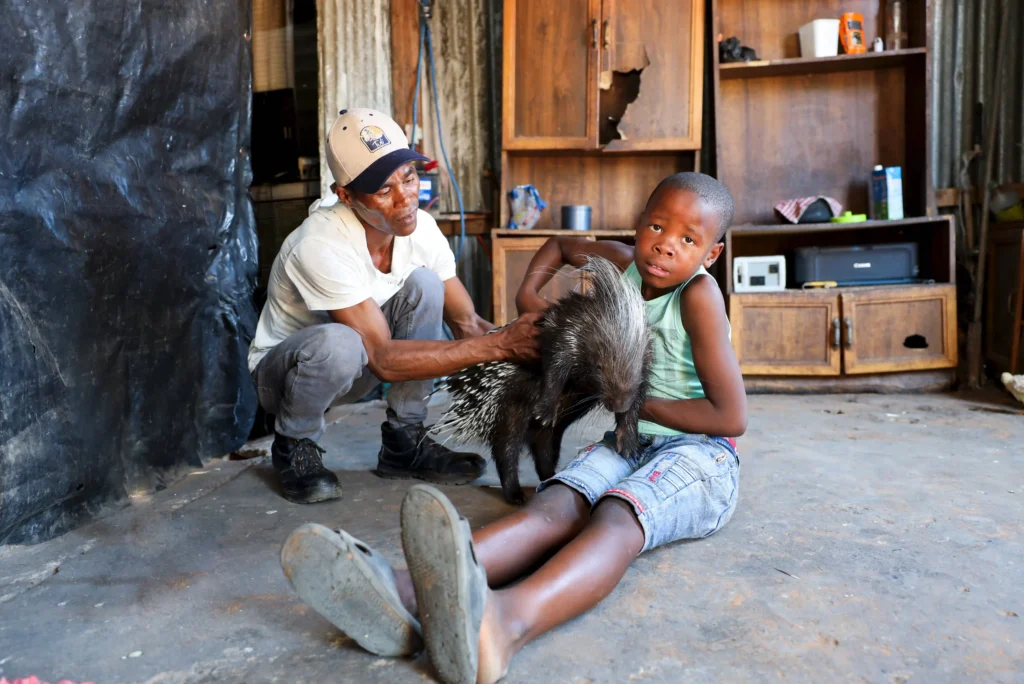 Meet Baby, the 9-month-old porcupine raised as part of a loving family in South Africa—snuggling, picky eating, and nightly homecomings make him truly one of a kind!