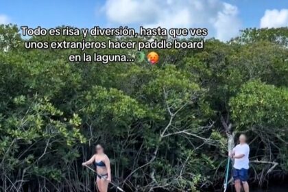 Tourists paddleboarding in crocodile-infested Nichupté Lagoon, Cancun, spark shock and warnings. Locals highlight rising croc sightings near mangroves in the area.