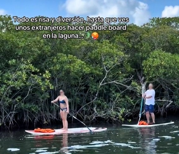 Tourists paddleboarding in crocodile-infested Nichupté Lagoon, Cancun, spark shock and warnings. Locals highlight rising croc sightings near mangroves in the area.