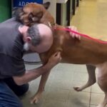 A man joyfully reunites with his 'twin flame' dog, Minnie, two years after giving her up during his cancer battle, following remission and a heartwarming twist of fate.