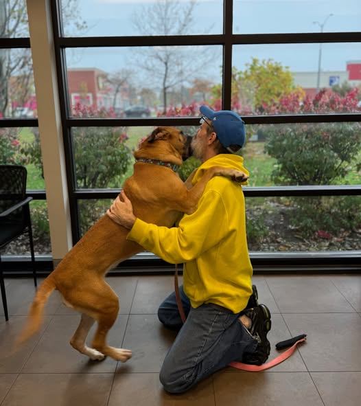 A man joyfully reunites with his 'twin flame' dog, Minnie, two years after giving her up during his cancer battle, following remission and a heartwarming twist of fate.