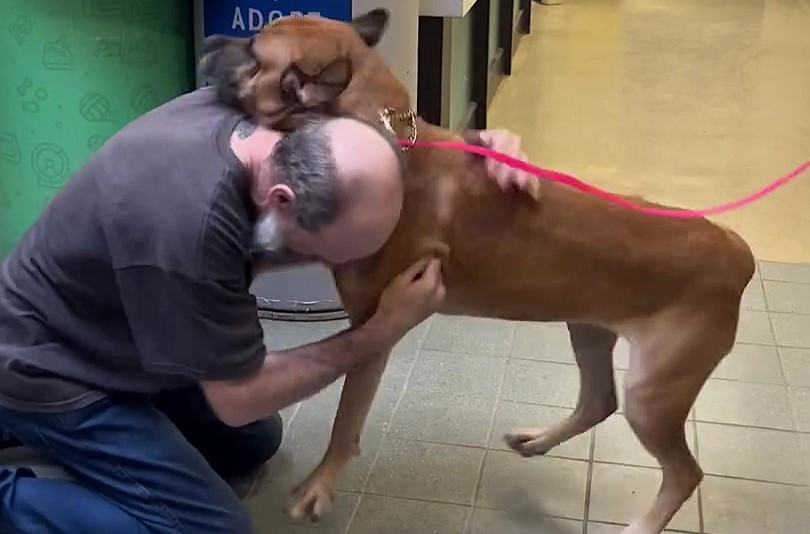 A man joyfully reunites with his 'twin flame' dog, Minnie, two years after giving her up during his cancer battle, following remission and a heartwarming twist of fate.