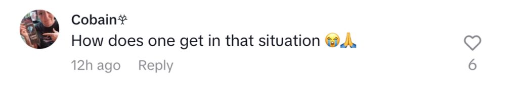 Social media comment on the post of Firefighters save a young mare trapped in a 2-meter pit in Venezuela, with the footage gaining 86M views. Thankfully, the horse was unharmed!