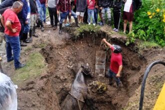 Firefighters save a young mare trapped in a 2-meter pit in Venezuela, with the footage gaining 86M views. Thankfully, the horse was unharmed!