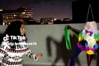 Party mishap: guest accidentally kicks a Christmas piñata off a rooftop in Mexico City, sending it into a tree below. Laughter ensues as it’s retrieved the next morning!