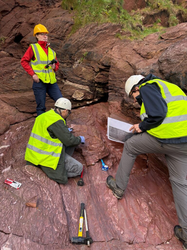 Ancient 377-million-year-old tree fossils discovered at Saltern Cove in Devon. This groundbreaking find sheds light on prehistoric volcanic islands and early tree evolution.