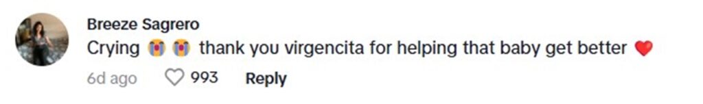 Social media comment on the post of Dog owner credits a Virgin Mary statue for miraculously healing his sick pet, Snoppy, after a critical infection. A heartfelt promise led to a touching cathedral visit.