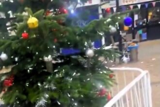 A sparsely decorated Christmas tree in Deptford has locals laughing and fuming. Dubbed a "£10 budget tree," it’s encased in railings, sparking jokes and community outrage.