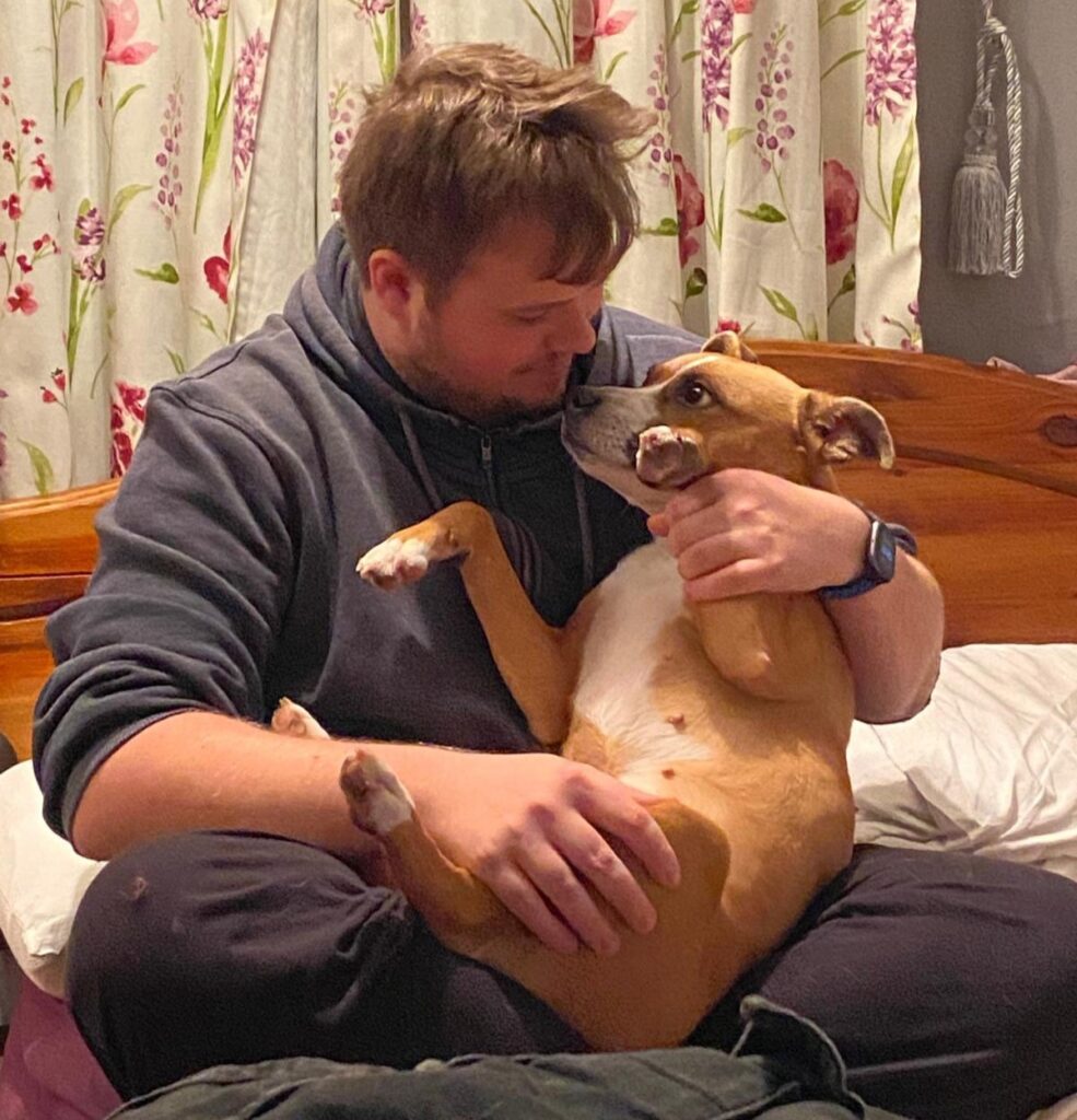 Starved Staffie, Mabel, transforms after rescue, gaining 11kg and a loving home. From emaciation to joyful Christmas walks, her journey inspires hope and love.