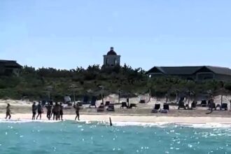 A Cuban beach on Cayo Santa Maria was evacuated after a large shark was spotted near the shore, alarming tourists at the luxury Royalton Hotel. No injuries were reported.