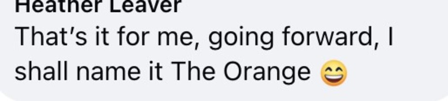 Social media comment on the post of The Range shuts down viral claims it's secretly called 'The Orange.' Fans joke about the logo's orange circle, sparking playful debates online about the store's name.