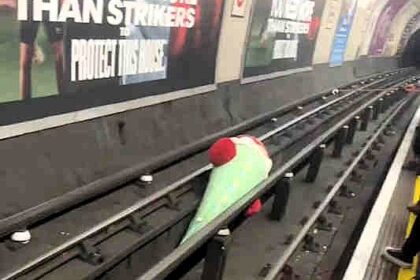 A London Tube train faced delays after a 6ft soft toy chilli pepper ended up on the tracks near Marble Arch, sparking humor and frustration among commuters.