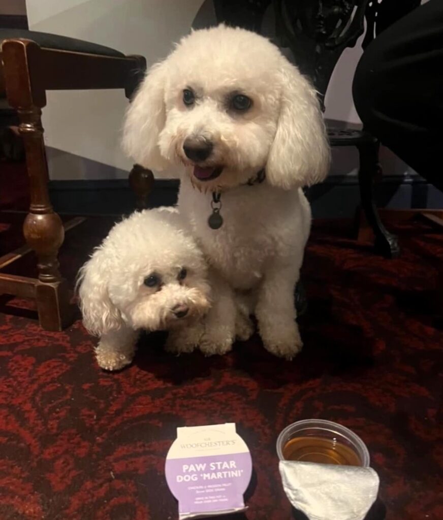 A pub in Cannock is serving festive canine dinners, including a £3 Three Bird Roast and alcohol-free Bark Brew. Locals love the idea of Yuletide treats for their pups!