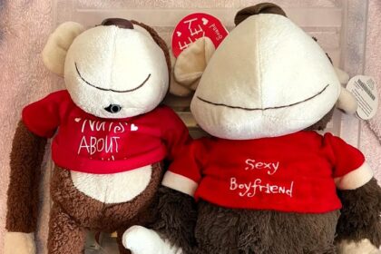 A Vinted user seeks revenge on an ex by selling sentimental "nuts about you" cuddly monkeys for £12, joining a trend of reselling personal items after breakups.