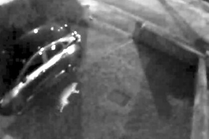 A Warrington family’s CCTV captured a large, puma-like cat prowling their street, sparking debate among locals. The feline's size and movements rule out domestic cats or dogs.