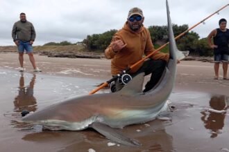 A fisherman in Argentina reeled in a massive 200lb copper shark using a fishing rod, later releasing it back into the sea. Watch the thrilling catch that went viral online!