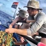 A British rowing team rescued a dying turtle tangled in fishing net mid-Atlantic during their Talisker Whisky Atlantic Rowing Challenge, showcasing teamwork and care for marine life.