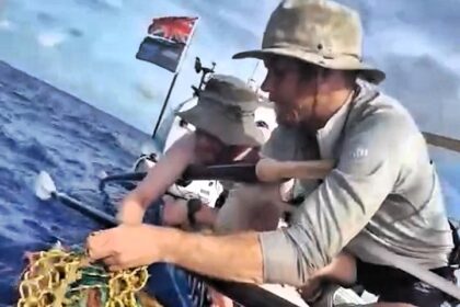 A British rowing team rescued a dying turtle tangled in fishing net mid-Atlantic during their Talisker Whisky Atlantic Rowing Challenge, showcasing teamwork and care for marine life.