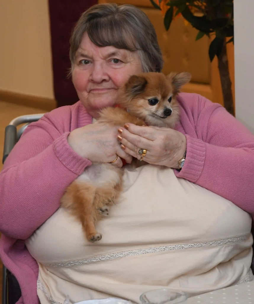 Meet Lady, a 15-year-old chihuahua and Colne View’s beloved ‘Canine Relations Manager,’ spreading joy and comfort to care home residents for over a decade!