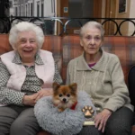 Meet Lady, a 15-year-old chihuahua and Colne View’s beloved ‘Canine Relations Manager,’ spreading joy and comfort to care home residents for over a decade!