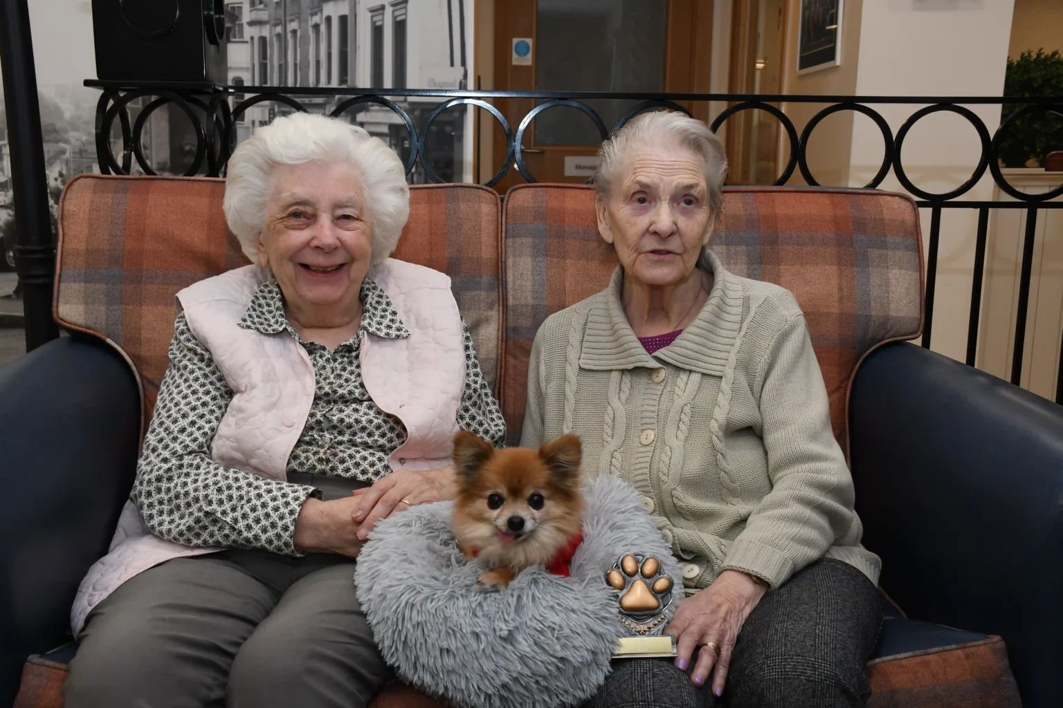 Meet Lady, a 15-year-old chihuahua and Colne View’s beloved ‘Canine Relations Manager,’ spreading joy and comfort to care home residents for over a decade!