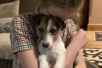 A family has been reunited with their missing dog, Iris, after she was found 90 miles away, thanks to a kind stranger and a microchip scan.