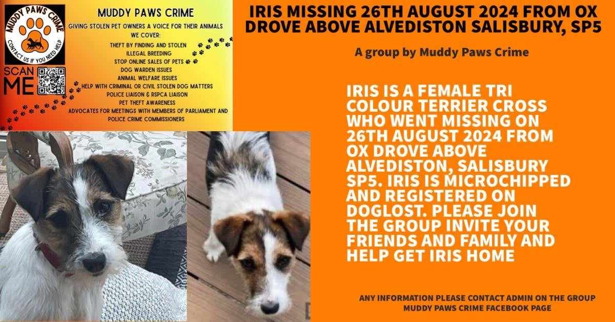 Family reunited with dog after she’s found 90 miles away from home ...
