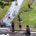 Firefighters win hearts in Sydney by setting up a water slide to cool down residents as temperatures hit 40°C, earning praise for their creative community spirit.