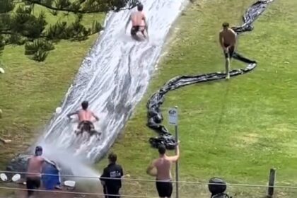 Firefighters win hearts in Sydney by setting up a water slide to cool down residents as temperatures hit 40°C, earning praise for their creative community spirit.