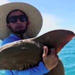 Fishing influencer Osvany Sánchez shares a touching moment as he hugs a "beautiful" nurse shark caught off Miami's coast before gently releasing it back to the sea.