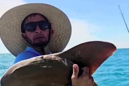 Fishing influencer Osvany Sánchez shares a touching moment as he hugs a "beautiful" nurse shark caught off Miami's coast before gently releasing it back to the sea.