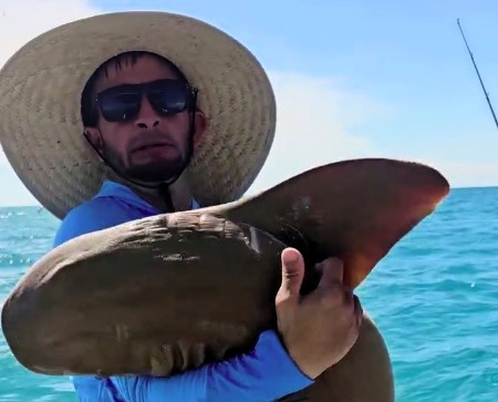 Fishing influencer Osvany Sánchez shares a touching moment as he hugs a "beautiful" nurse shark caught off Miami's coast before gently releasing it back to the sea.