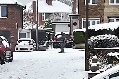 Builder John McCormack goes viral skiing down his snowy Rotherham street, entertaining neighbors and offering grocery runs. The hilarious clips have over 1.8M views!