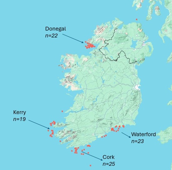 A 65ft fin whale washed ashore on Ballinclamper Beach in Ireland, sparking sadness and warnings for public safety. Experts are unsure of its cause of death.