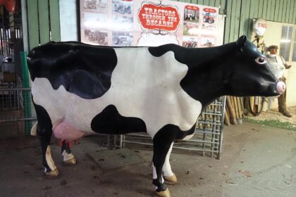 Clarabelle, a giant model cow once beloved by children at Dairyland Museum, is up for auction as the attraction closes after 49 years. Hundreds of vintage farming items are also for sale.