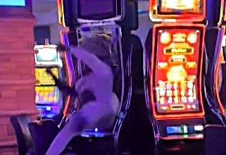 Man destroys gambling machine in Shawnee, Oklahoma, after losing money. Viral clip captures the outburst, amassing over 836,000 Instagram views.