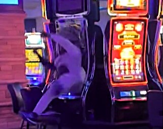 Man destroys gambling machine in Shawnee, Oklahoma, after losing money. Viral clip captures the outburst, amassing over 836,000 Instagram views.