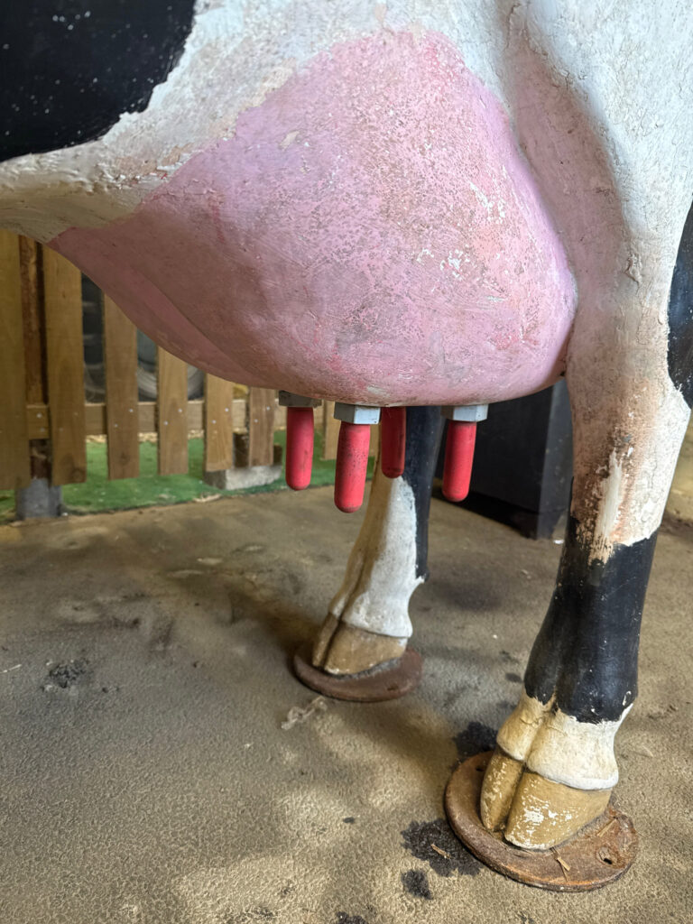 Clarabelle, a giant model cow once beloved by children at Dairyland Museum, is up for auction as the attraction closes after 49 years. Hundreds of vintage farming items are also for sale.