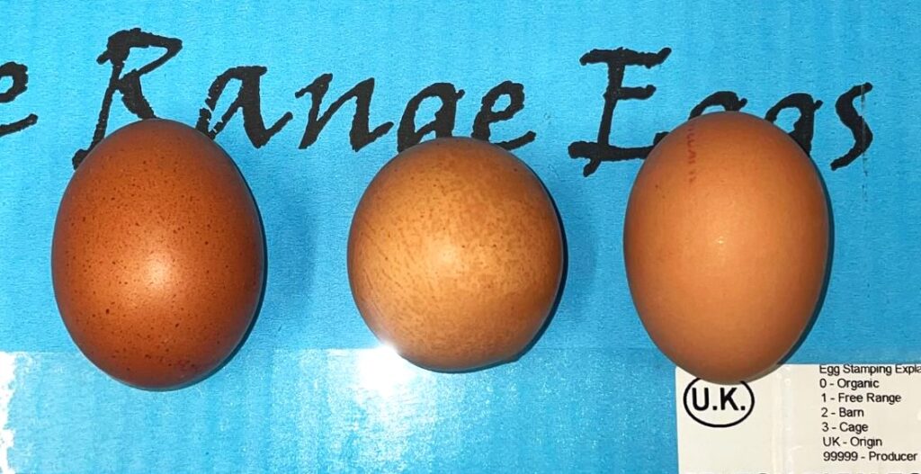 A one-in-a-billion round egg was discovered by a farm worker in Devon. Set to be auctioned for charity, the rare find has left collectors eager to own this unique treasure.