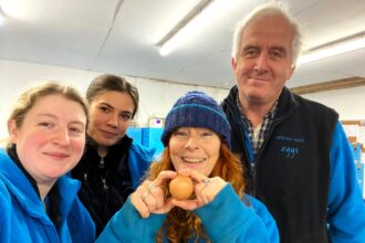 A one-in-a-billion round egg was discovered by a farm worker in Devon. Set to be auctioned for charity, the rare find has left collectors eager to own this unique treasure.