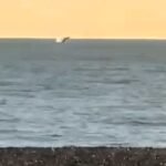 Humpback whales spotted off the English coast, delighting locals with stunning displays. Rare sightings in Cornwall and Hastings captured breathtakingly on camera!