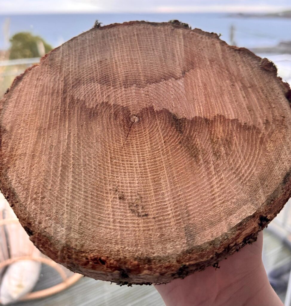 A Cornishman chopping firewood discovered a stunning map of Cornwall inside a piece of ash. Now preserved, it’s set to become a unique home display in Mevagissey.