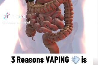 A Harvard-trained doctor reveals how vaping damages the gut microbiome, triggers inflammation, and weakens the gut barrier, increasing risks for chronic conditions and autoimmune issues.