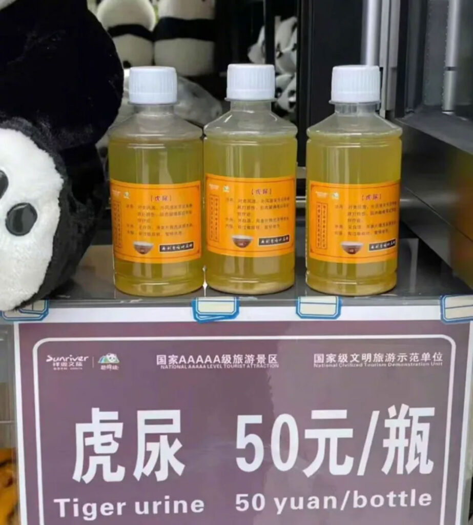 Animal welfare concerns raised as Chinese zoo begins selling tiger urine as a traditional remedy for arthritis, despite lack of scientific evidence.