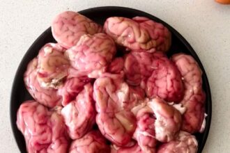 A mum sparks debate by feeding her 2-year-old lamb brains for breakfast, defending the nutrient-dense dish as vital for brain development and a healthy start to life.