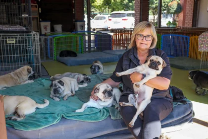 A woman runs a shelter for over 200 rescued pugs, spending thousands monthly on their care, despite the breed’s health issues. Her mission: give them a loving home.