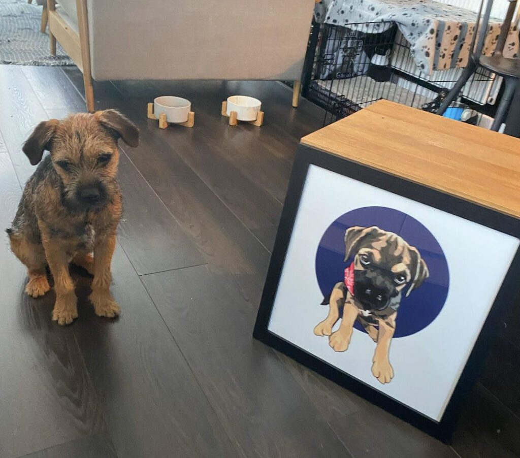 A devoted dog owner spends £500 a month on his Border Terrier, Bruce, including holidays abroad, £160 grooming sessions, and an £800 birthday party, calling him his "pride and joy."