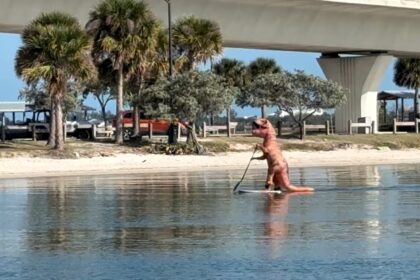 A T-Rex was spotted paddle boarding down a Florida river in a hilarious viral video, leaving social media users amused by the dinosaur's unexpected aquatic adventure.