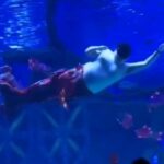 An aquarium trainer stepped in as a mermaid after his colleague fell ill, delighting tourists with his humorous performance at Zhonghe Dolphin Bay Ocean Park in China.