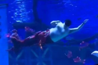 An aquarium trainer stepped in as a mermaid after his colleague fell ill, delighting tourists with his humorous performance at Zhonghe Dolphin Bay Ocean Park in China.